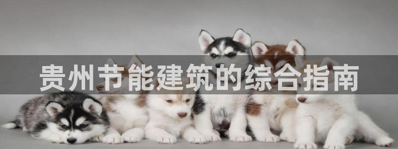 e尊国际的手机登录网站：贵州节能建筑的综合指南