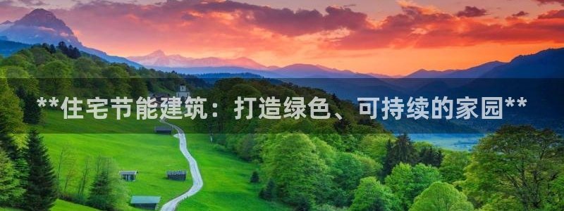 e尊国际官网：**住宅节能建筑：打造绿色、可持续的家园**