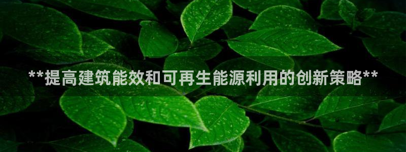 e尊国际客户端下载：**提高建筑能效和可再生能源利用的创新策略**