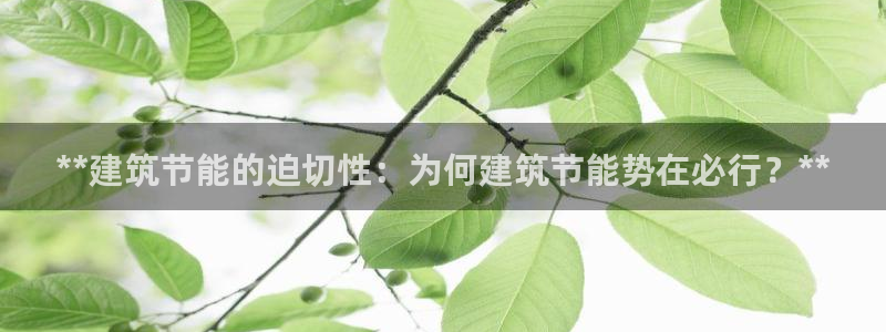 E尊国际网站：**建筑节能的迫切性：为何建筑节能势在必行？**