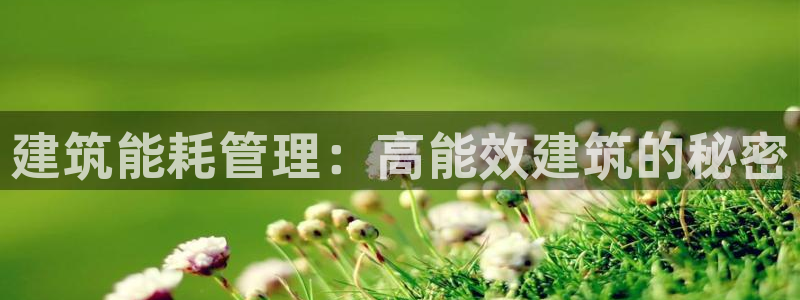 e尊电竞：建筑能耗管理：高能效建筑的秘密