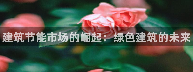 e尊国际平台：建筑节能市场的崛起：绿色建筑的未来