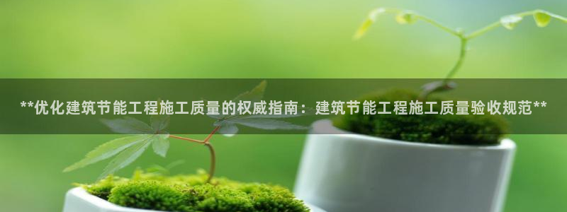 e尊国际客服：**优化建筑节能工程施工质量的权威指南：建筑节能工程施工质量验收规范**