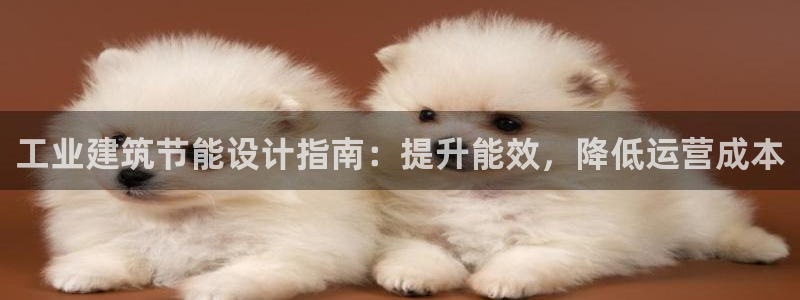 e尊国际官网app
