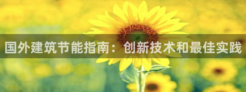 e尊电竞：国外建筑节能指南：创新技术和最佳实践