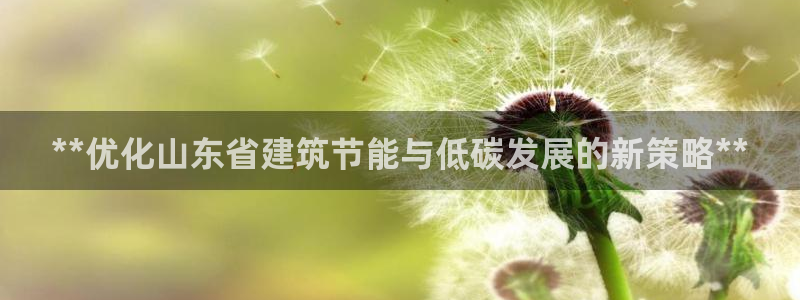 e尊国际是个黑网：**优化山东省建筑节能与低碳发展的新策略**