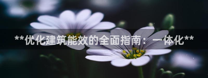 e尊国际官网app：**优化建筑能效的全面指南：一体化**