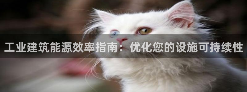 e尊国际是干什么的：工业建筑能源效率指南：优化您的设施可持续性