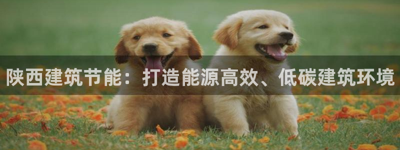 E尊国际网站：陕西建筑节能：打造能源高效、低碳建筑环境
