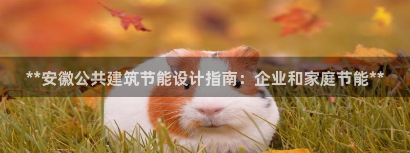 谁知道e尊国际的网址：**安徽公共建筑节能设计指南：企业和家庭节能**