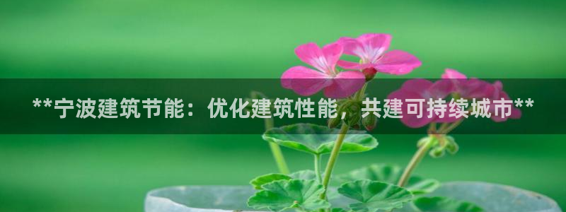 e尊国际娱乐官网下载：**宁波建筑节能：优化建筑性能，共建可持续城市**