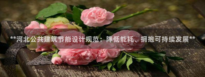 e尊国际客服