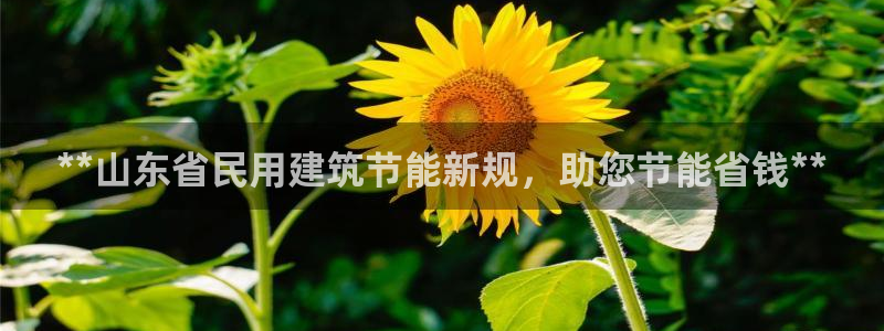 e尊国际是干什么的：**山东省民用建筑节能新规，助您节能省钱**
