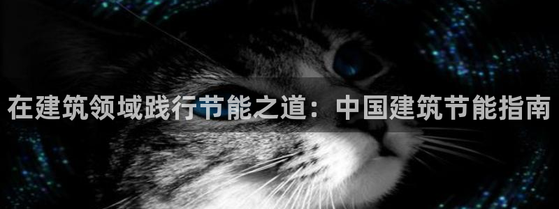 e尊国际地址：在建筑领域践行节能之道：中国建筑节能指南