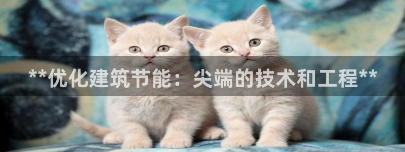 e尊国际app：**优化建筑节能：尖端的技术和工程**