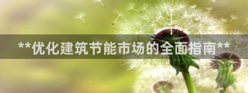 尊亿娱乐国际官网：**优化建筑节能市场的全面指南**