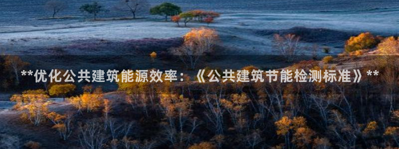 e尊国际平台