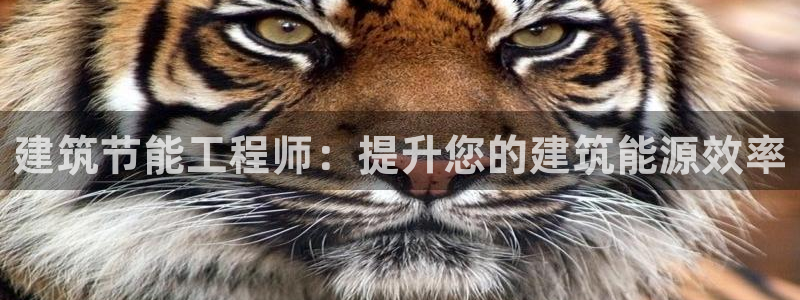 e尊国际平台