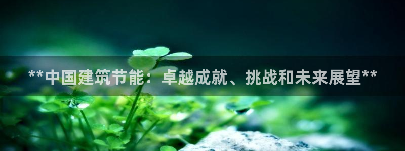 e尊国际官网app：**中国建筑节能：卓越成就、挑战和未来展望**