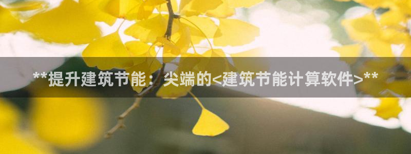 e尊国际客户端下载：**提升建筑节能：尖端的<建筑节能计算软件>**