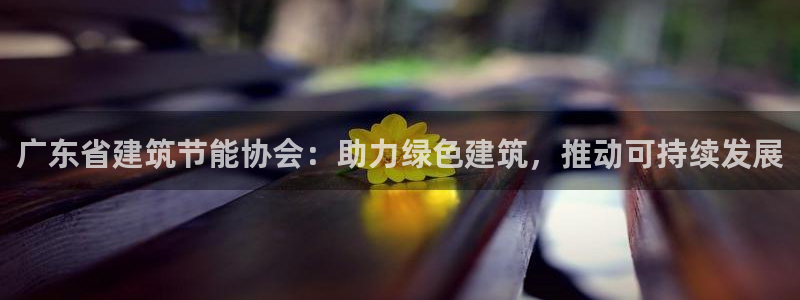 e尊国际客户端下载：广东省建筑节能协会：助力绿色建筑，推动可持续发展