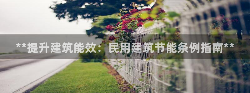 e尊国际-可可计划：**提升建筑能效：民用建筑节能条例指南**