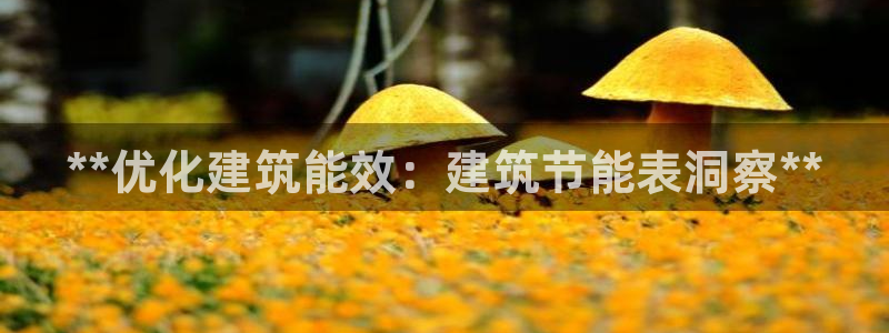 e尊平台：**优化建筑能效：建筑节能表洞察**