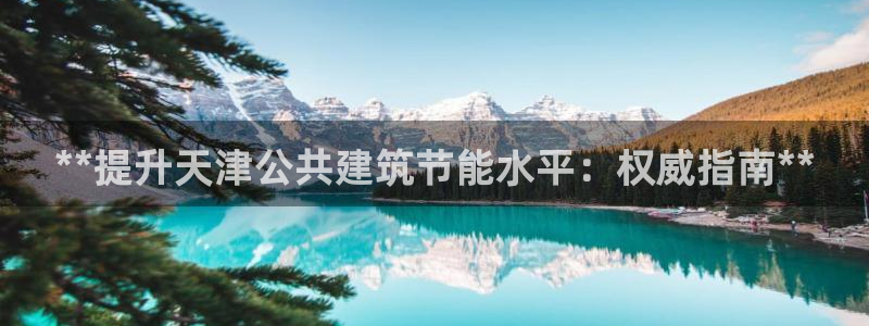 e尊国际网址：**提升天津公共建筑节能水平：权威指南**
