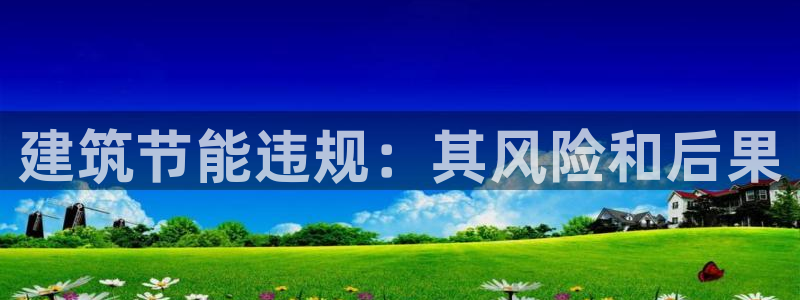 谁知道e尊国际的网址：建筑节能违规：其风险和后果