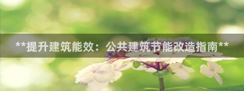 e尊国际可靠吗：**提升建筑能效：公共建筑节能改造指南**