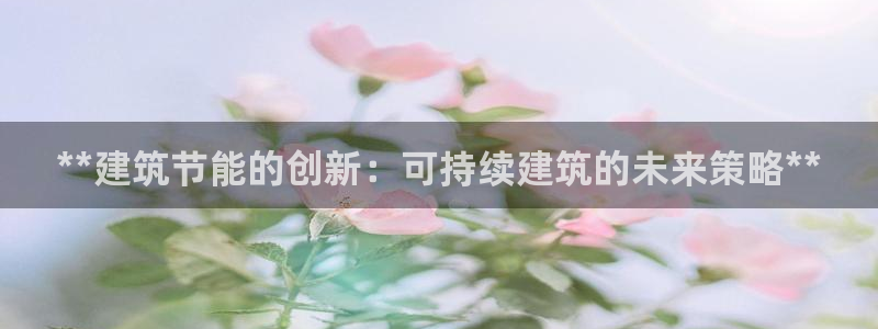 谁知道e尊国际的网址：**建筑节能的创新：可持续建筑的未来策略**