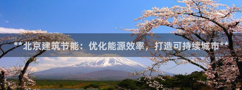 e尊国际官方网站：**北京建筑节能：优化能源效率，打造可持续城市**