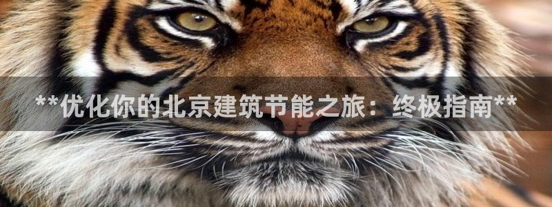 e尊国际app：**优化你的北京建筑节能之旅：终极指南**
