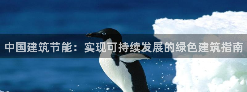 e尊国际官网app：中国建筑节能：实现可持续发展的绿色建筑指南