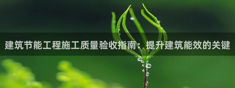 e尊国际官网·网址：建筑节能工程施工质量验收指南：提升建筑能效的关键