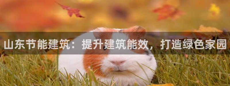 e尊国际是个黑网：山东节能建筑：提升建筑能效，打造绿色家园