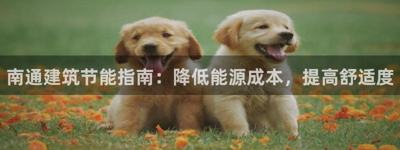 e尊国际是个黑网：南通建筑节能指南：降低能源成本，提高舒适度