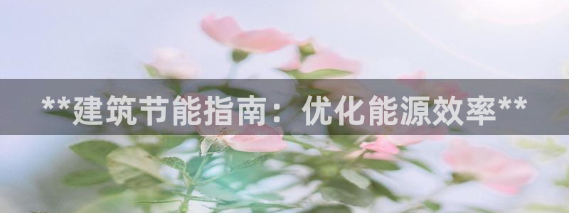 e尊平台：**建筑节能指南：优化能源效率**