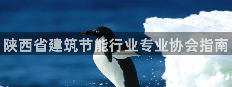 e尊国际7779：陕西省建筑节能行业专业协会指南