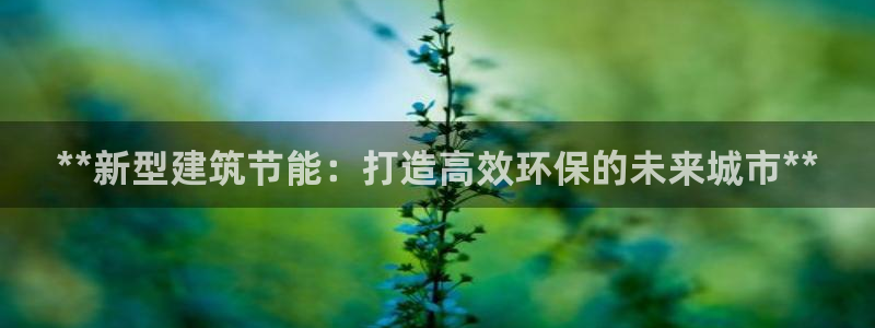 e尊国际官网·网址：**新型建筑节能：打造高效环保的未来城市**
