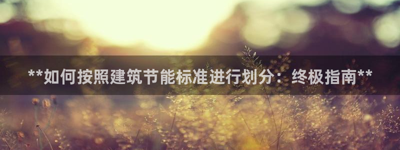e尊国际-e尊国际官网：**如何按照建筑节能标准进行划分：终极指南**