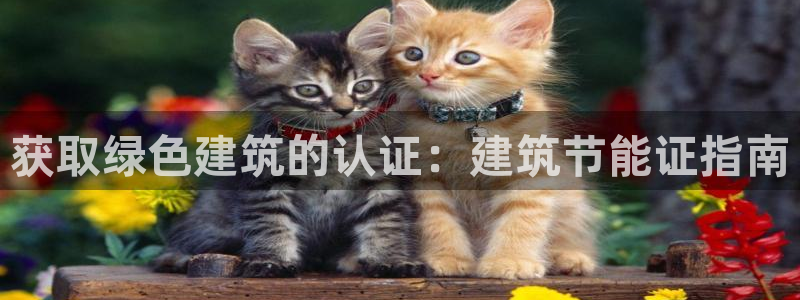 e尊国际官方网站：获取绿色建筑的认证：建筑节能证指南