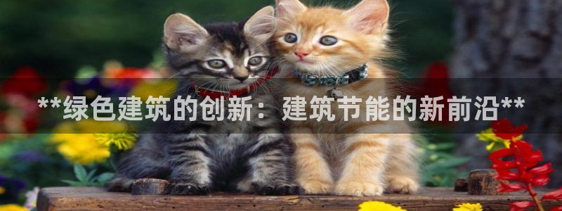 e尊国际-e尊国际官网：**绿色建筑的创新：建筑节能的新前沿**