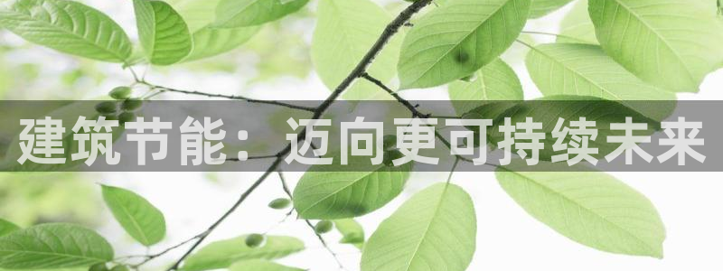e尊国际客户端下载：建筑节能：迈向更可持续未来