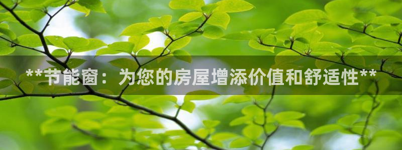 e尊国际娱乐官网下载：**节能窗：为您的房屋增添价值和舒适性**