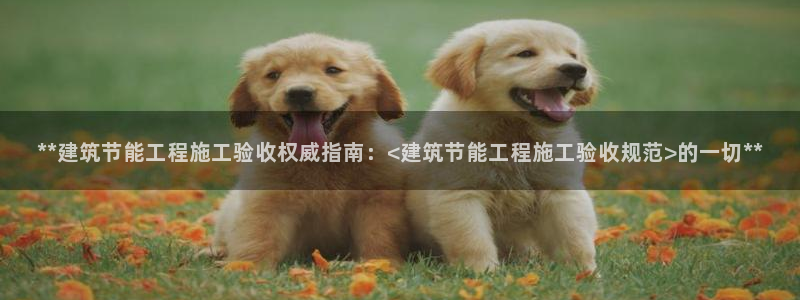 e尊国际客服：**建筑节能工程施工验收权威指南：<建筑节能工程施工验收规范>的一切**