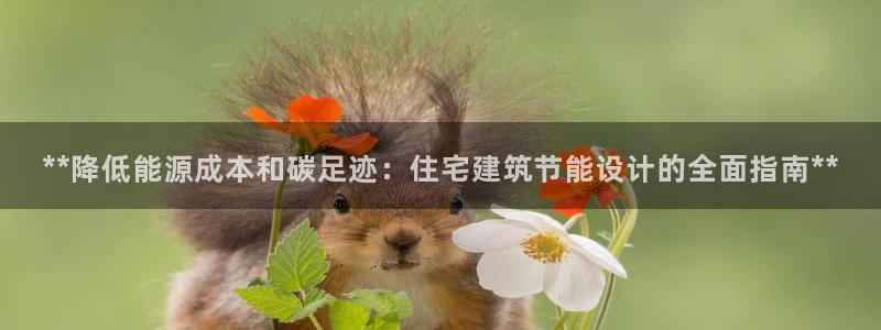e尊国际网址：**降低能源成本和碳足迹：住宅建筑节能设计的全面指南**