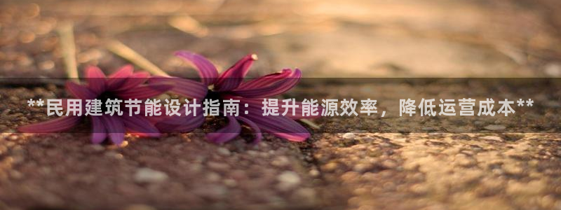 e尊国际平台：**民用建筑节能设计指南：提升能源效率，降低运营成本**