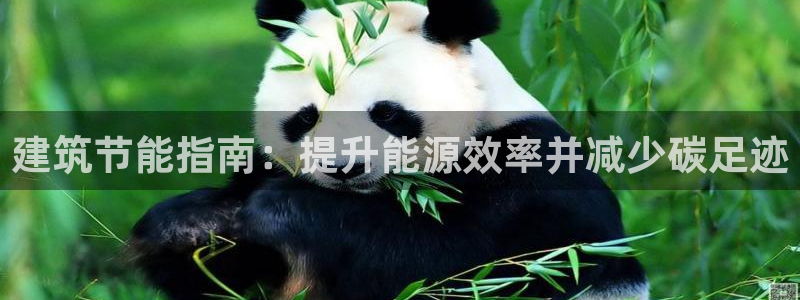e尊国际app：建筑节能指南：提升能源效率并减少碳足迹