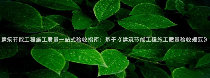 e尊体育：建筑节能工程施工质量一站式验收指南：基于《建筑节能工程施工质量验收规范》